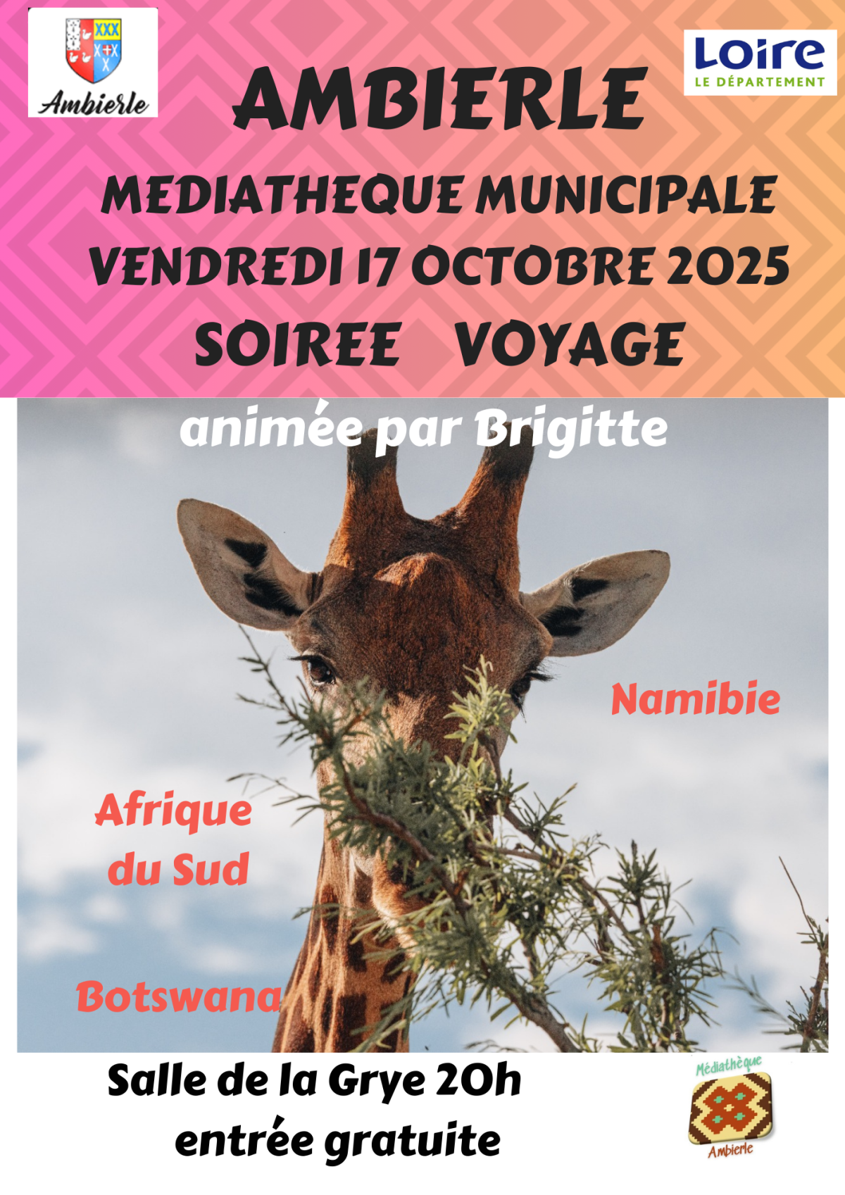 affiche Afrique du sud-1